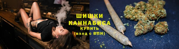 ECSTASY Ладушкин